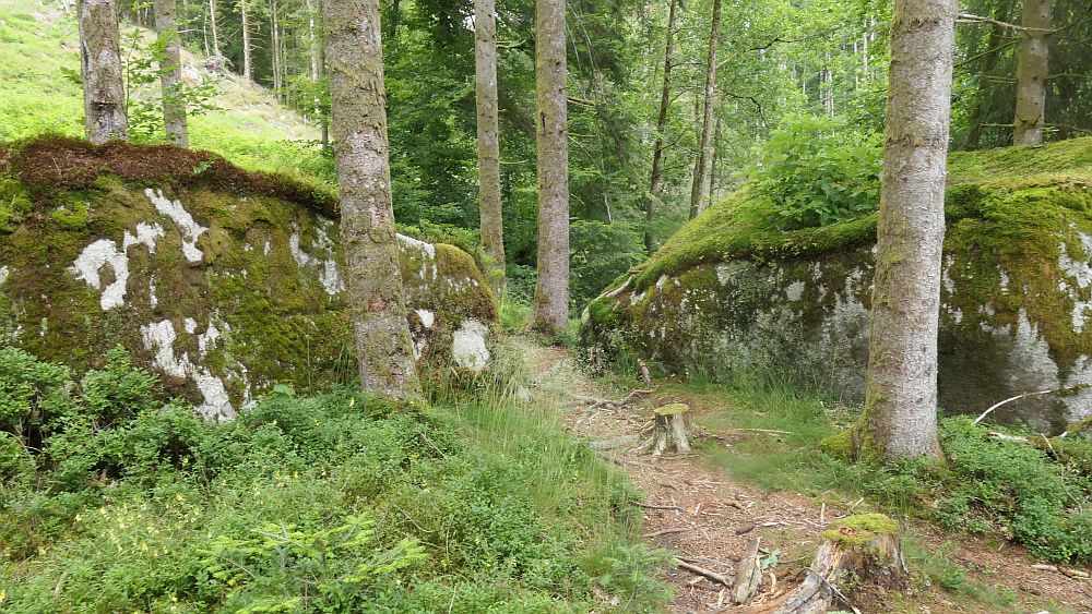 Albsteig Südschwarzwald