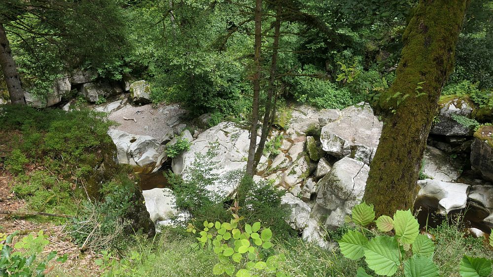 Albsteig Südschwarzwald