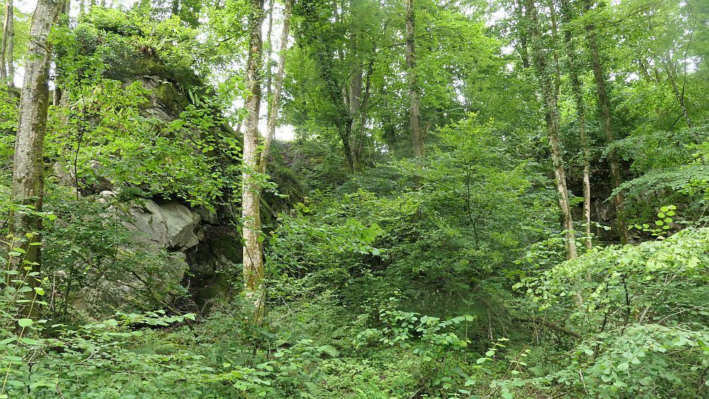 Albsteig Südschwarzwald
