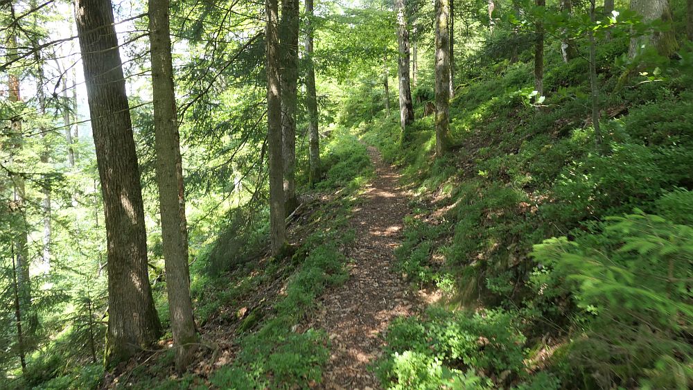 Albsteig Südschwarzwald