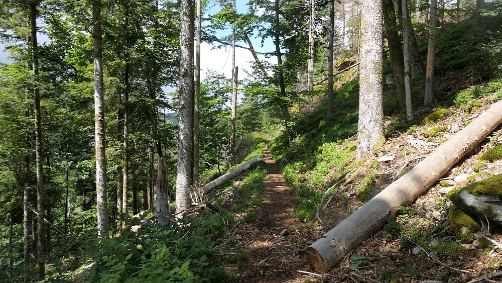 Albsteig Südschwarzwald