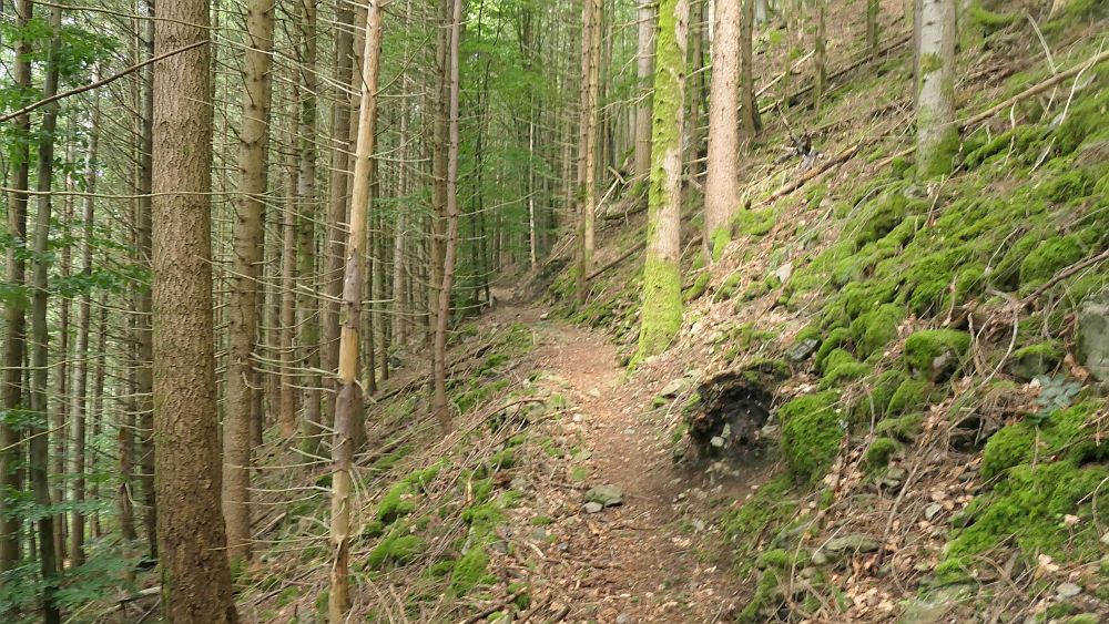 Albsteig Südschwarzwald