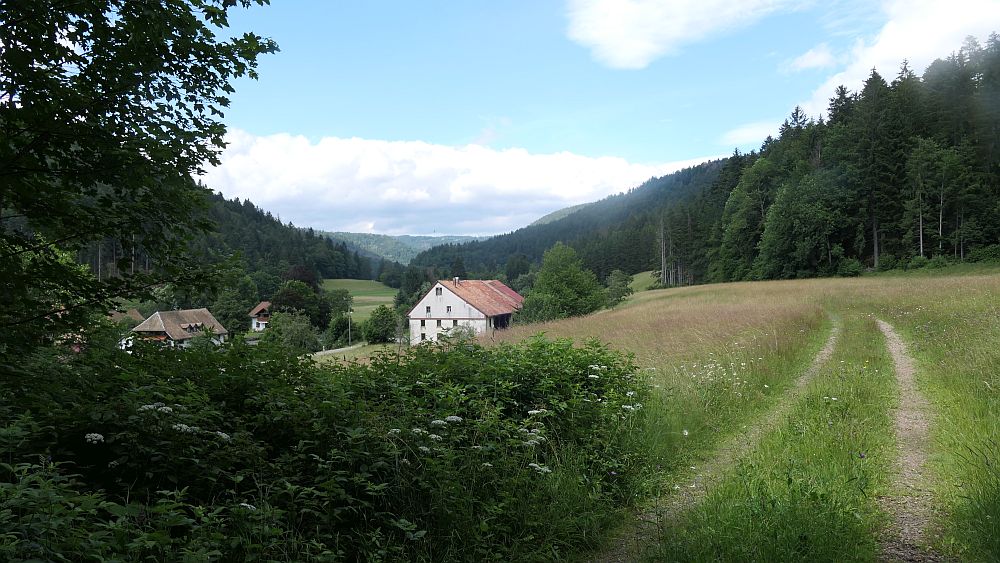 Albsteig Südschwarzwald