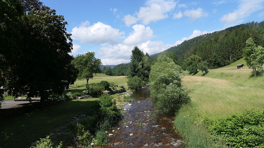 Albsteig Südschwarzwald