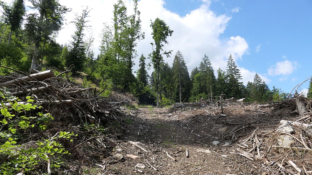 Albsteig Südschwarzwald
