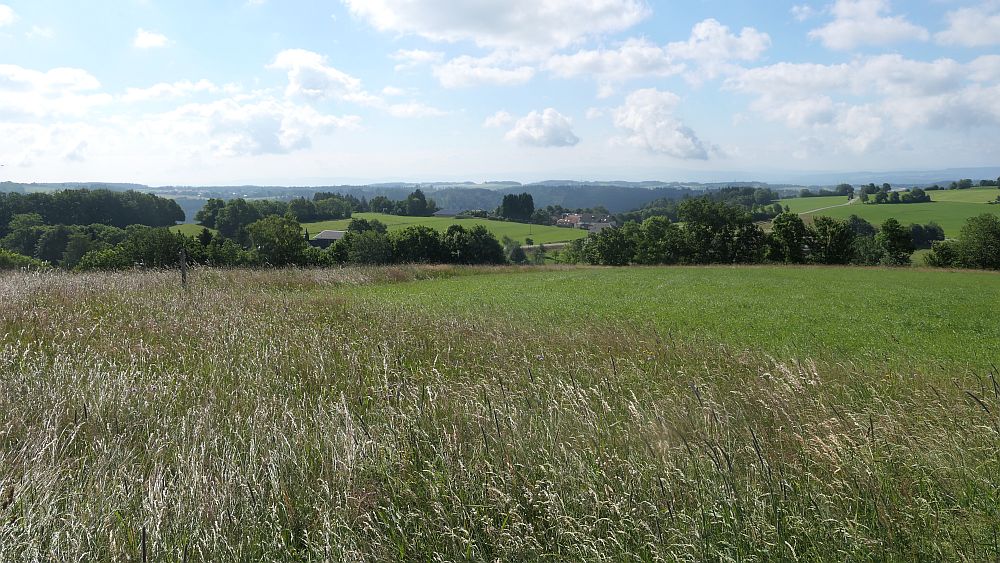 Albsteig Südschwarzwald