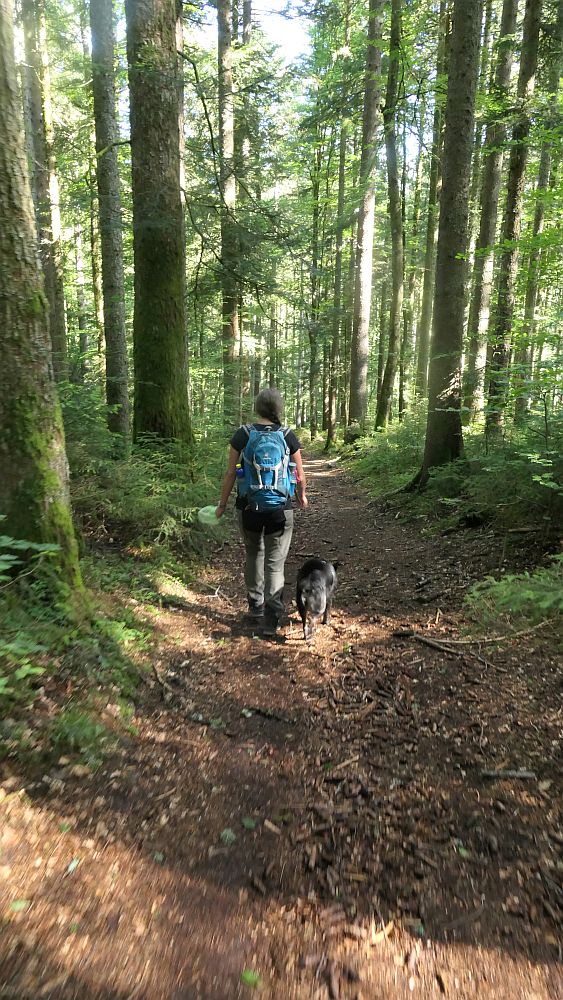 Albsteig Südschwarzwald