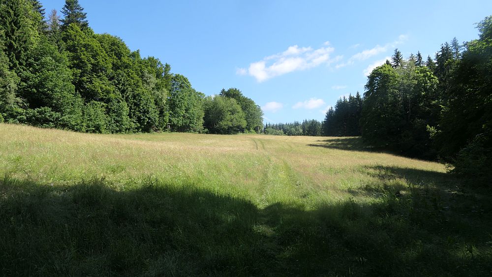 Albsteig Südschwarzwald