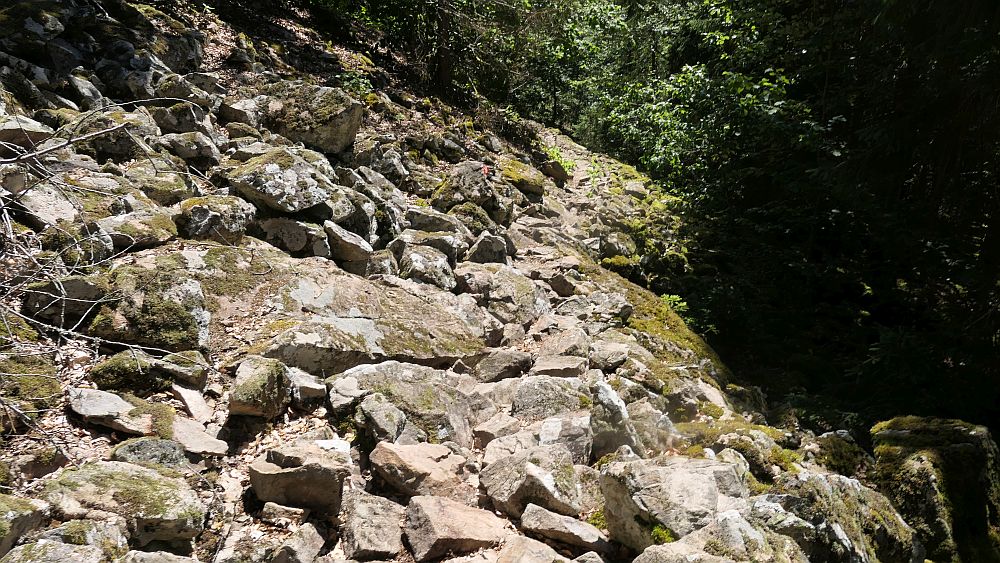 Albsteig Südschwarzwald