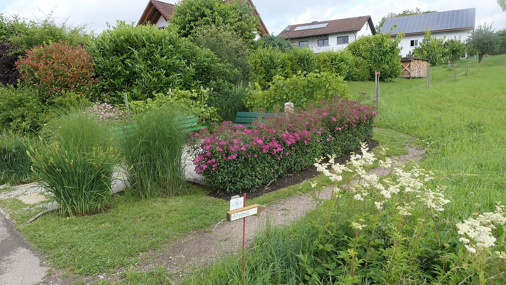 Albsteig Südschwarzwald