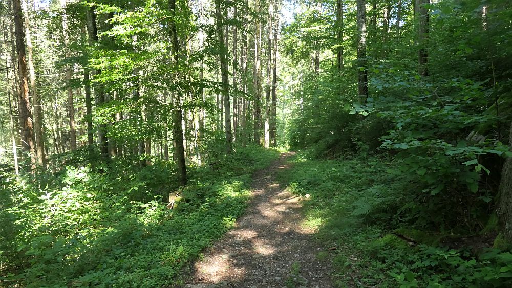 Albsteig Südschwarzwald