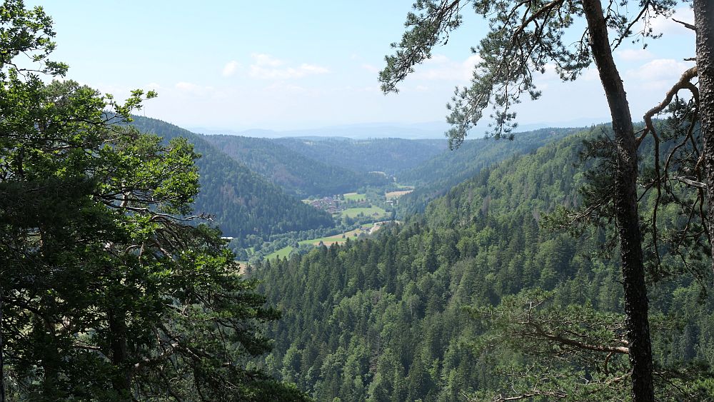 Albsteig Südschwarzwald