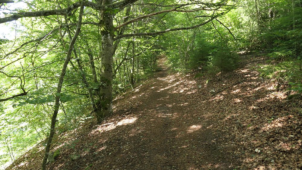 Albsteig Südschwarzwald