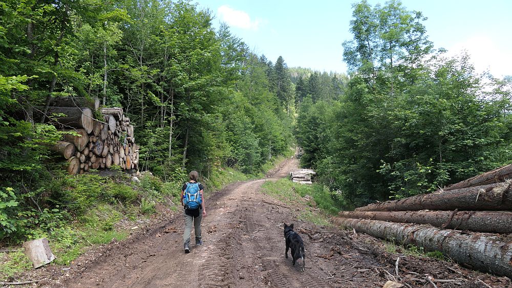 Albsteig Südschwarzwald