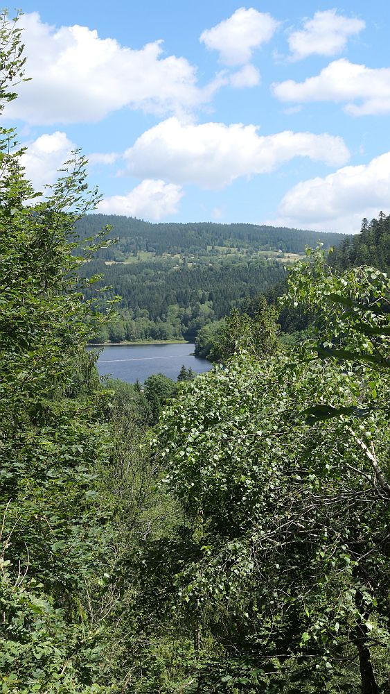Albsteig Südschwarzwald