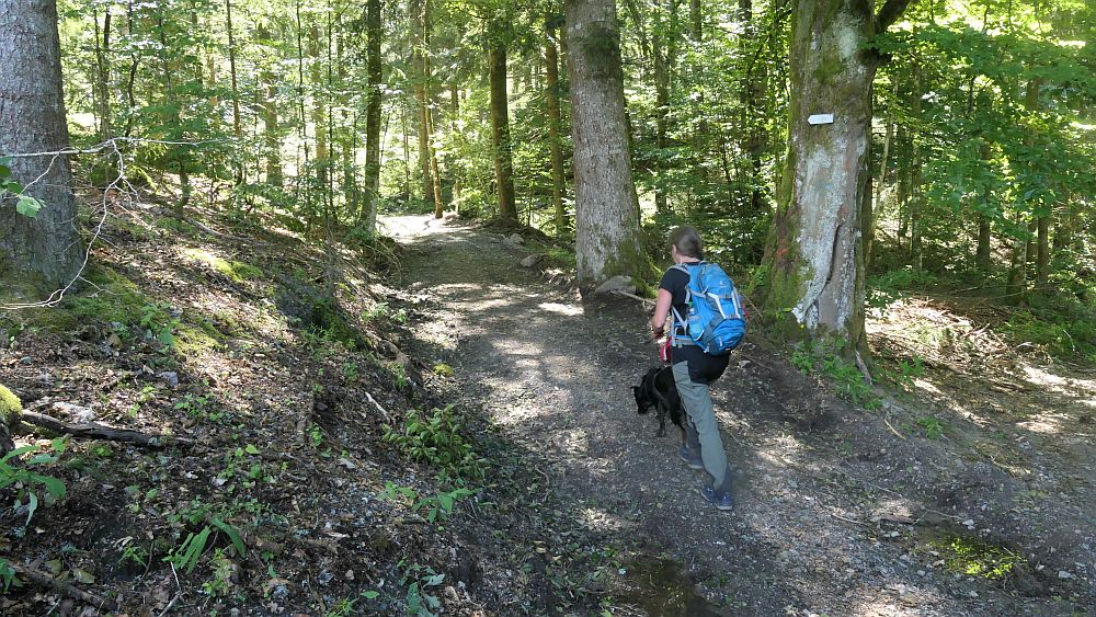 Albsteig Südschwarzwald