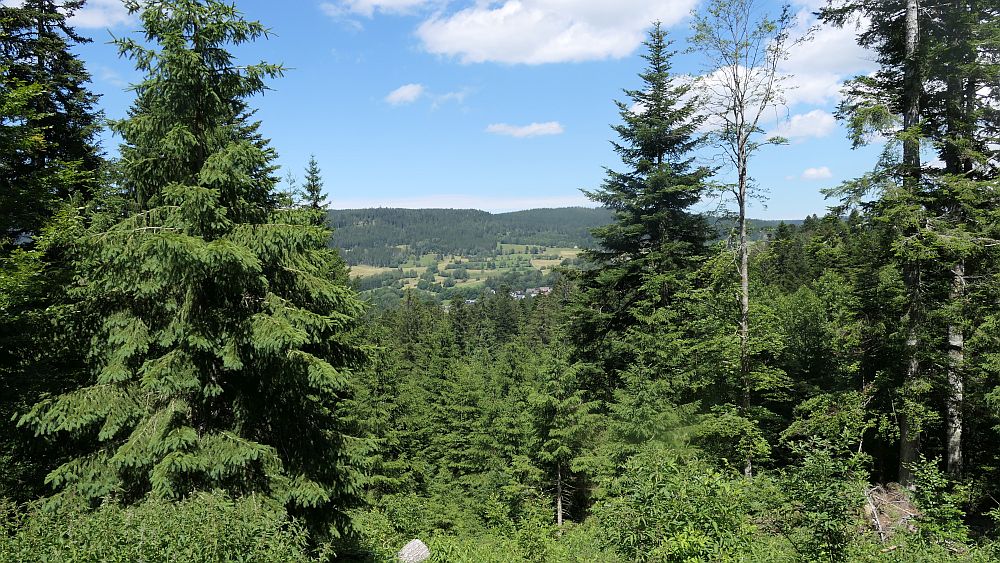 Albsteig Südschwarzwald