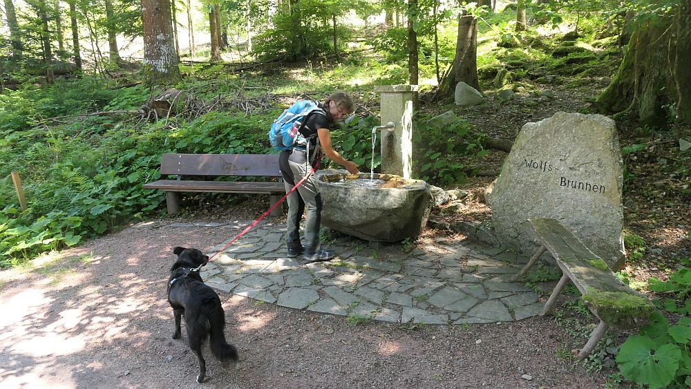 Albsteig Südschwarzwald