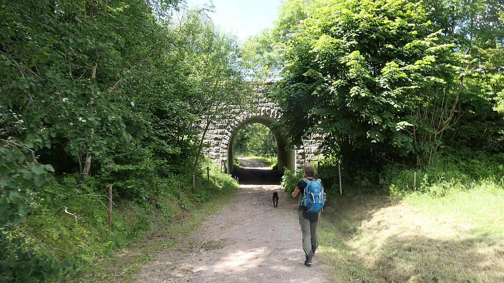 Albsteig Südschwarzwald