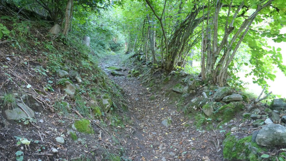 Alpe Adria Trail