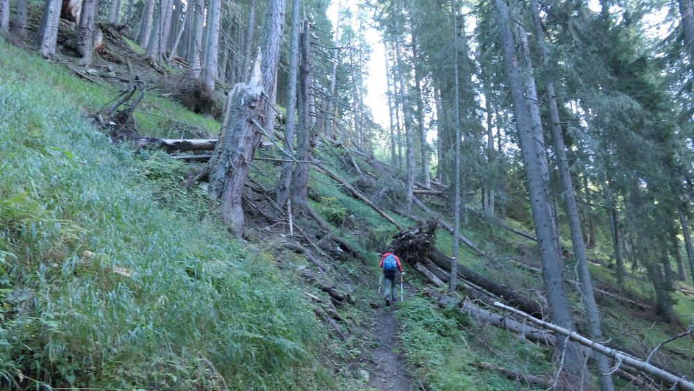Alpe Adria Trail