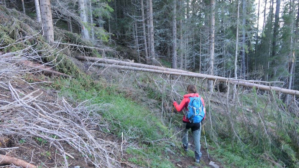 Alpe Adria Trail