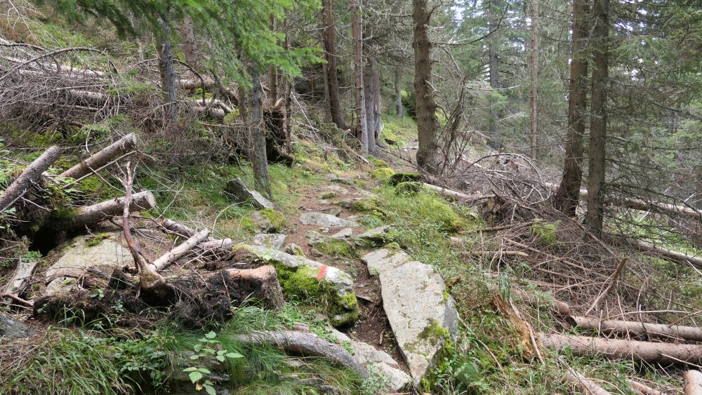 Alpe Adria Trail