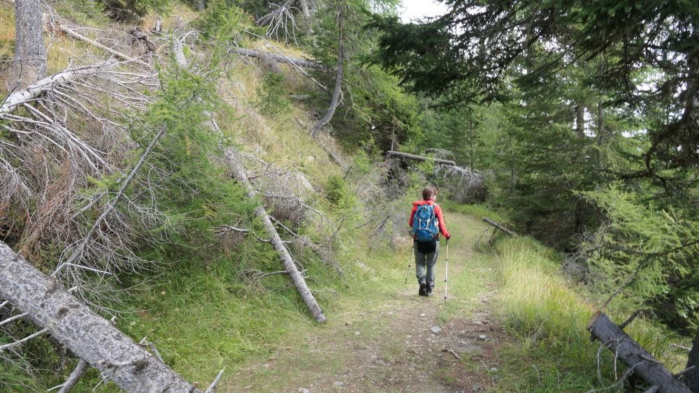 Alpe Adria Trail