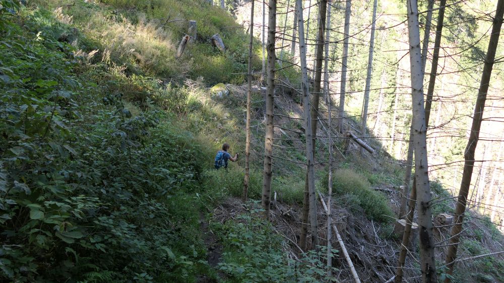 Alpe Adria Trail