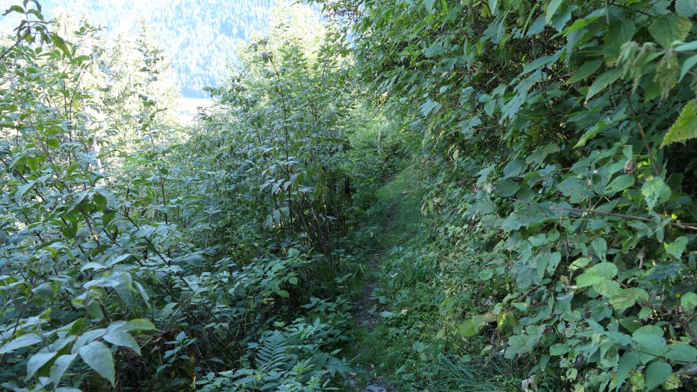 Alpe Adria Trail