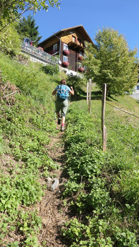 Alpe Adria Trail