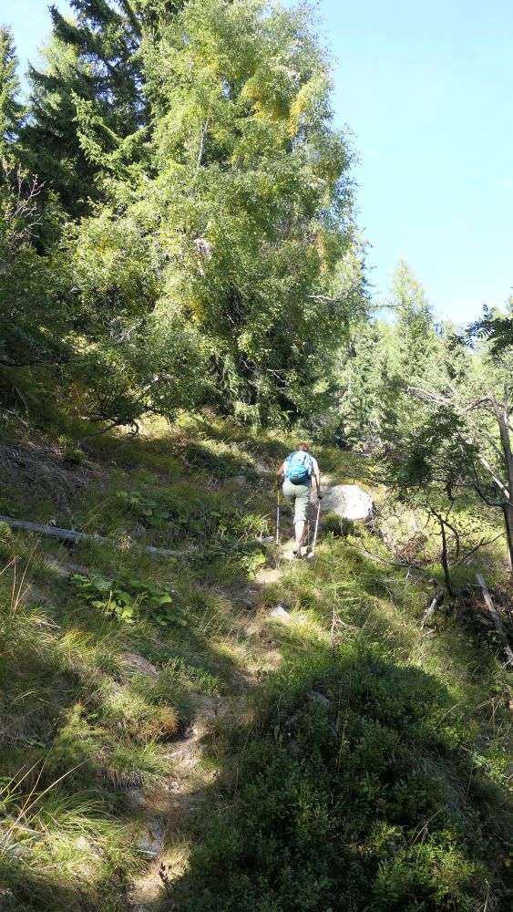 Alpe Adria Trail