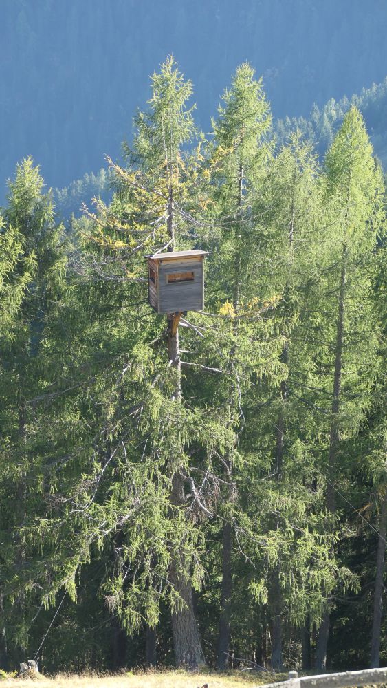 Alpe Adria Trail