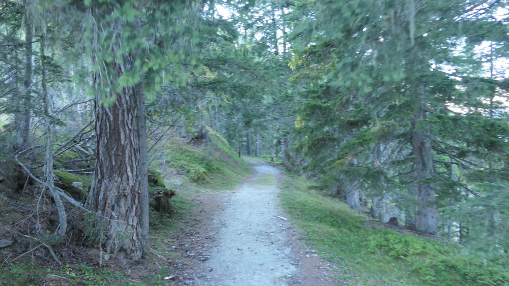 Alpe Adria Trail
