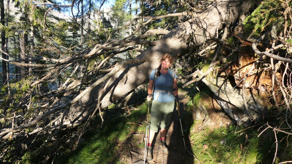 Alpe Adria Trail