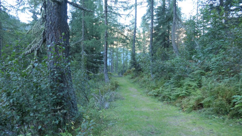 Alpe Adria Trail