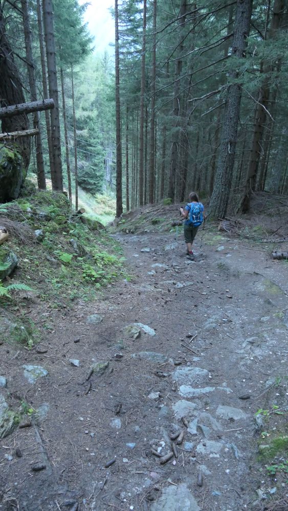 Alpe Adria Trail