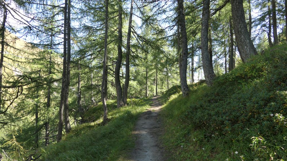 Alpe Adria Trail