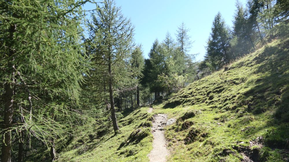 Alpe Adria Trail