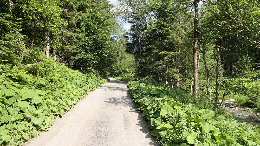 Alpe Adria Trail