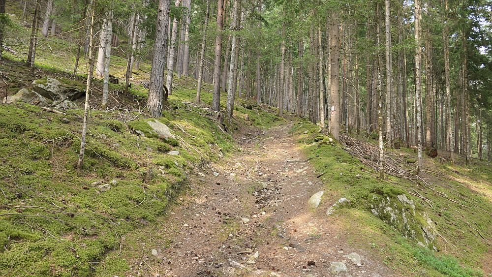 Alpe Adria Trail