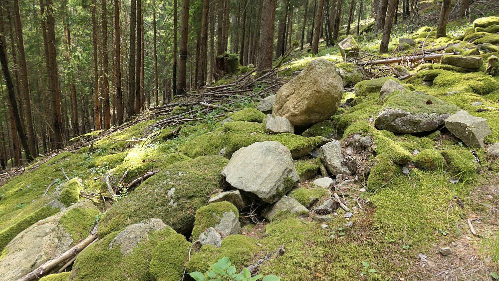 Alpe Adria Trail