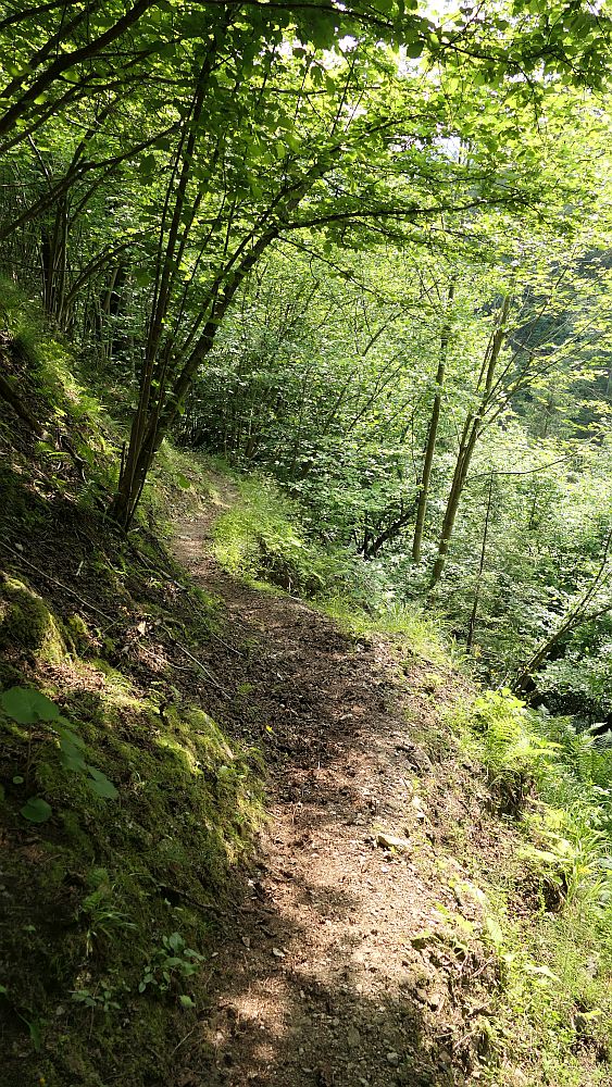 Alpe Adria Trail