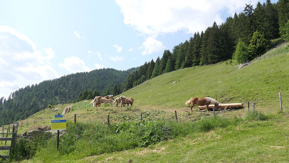 Alpe Adria Trail