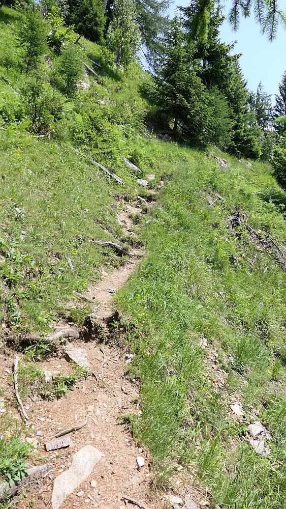 Alpe Adria Trail