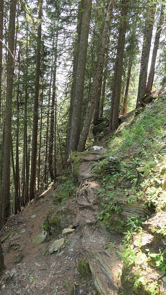 Alpe Adria Trail