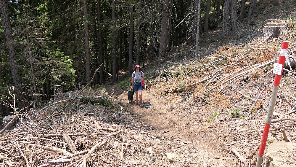 Alpe Adria Trail