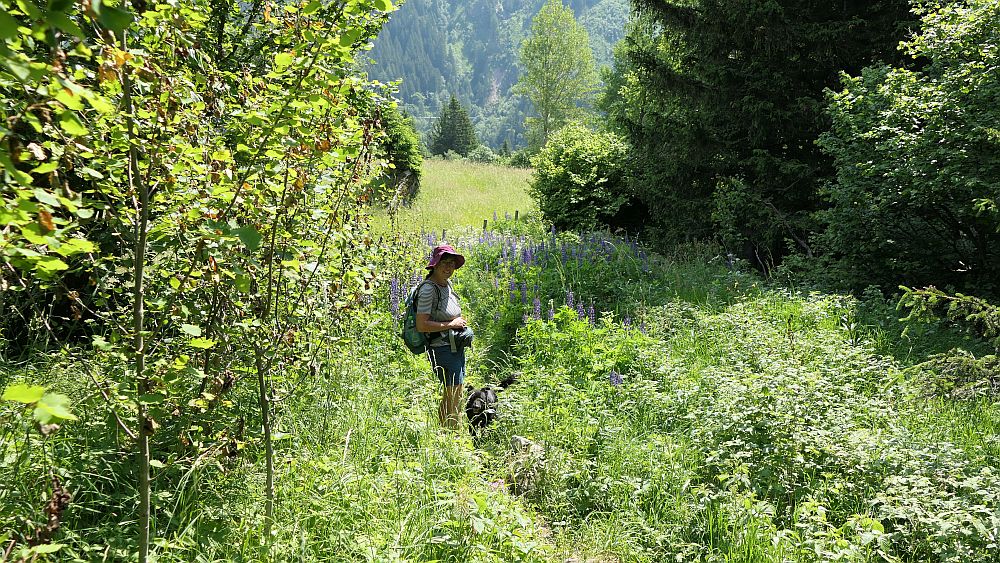 Alpe Adria Trail