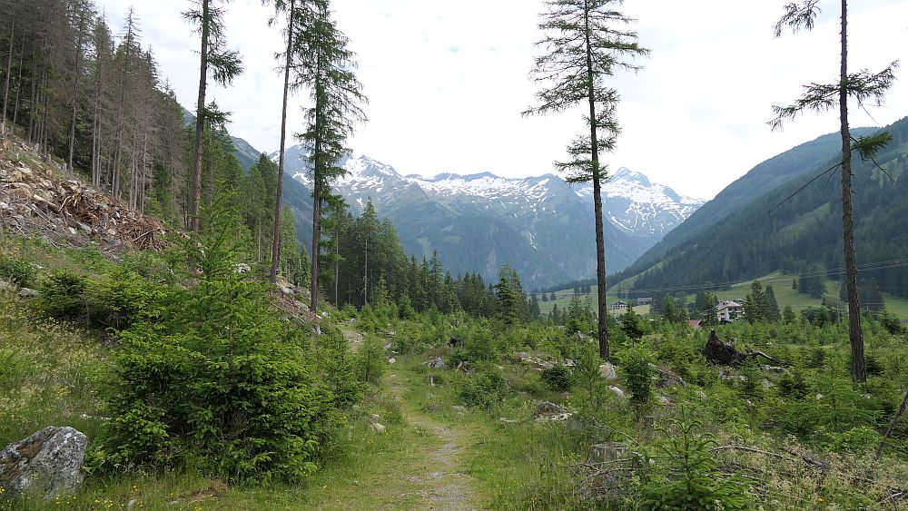 Alpe Adria Trail
