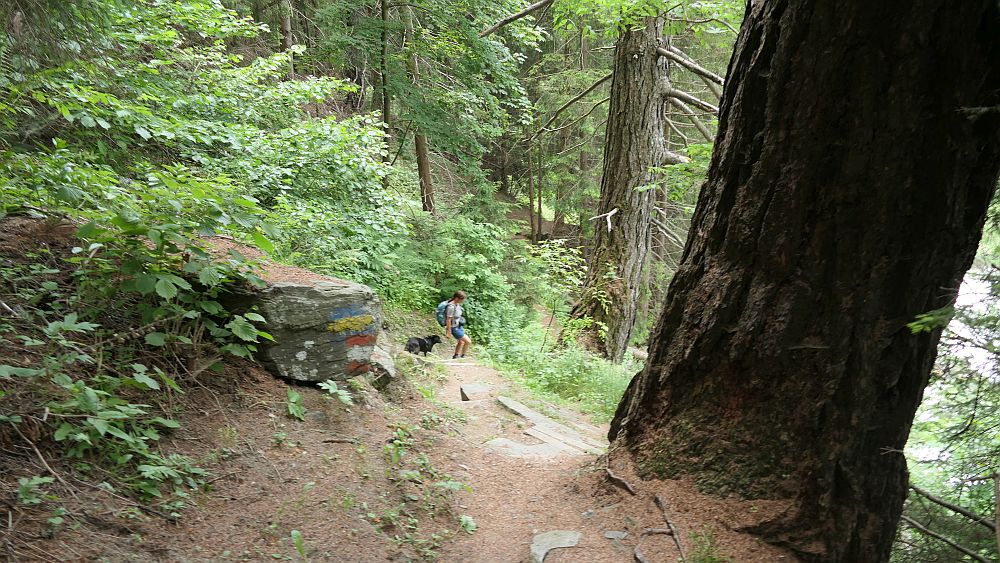 Alpe Adria Trail